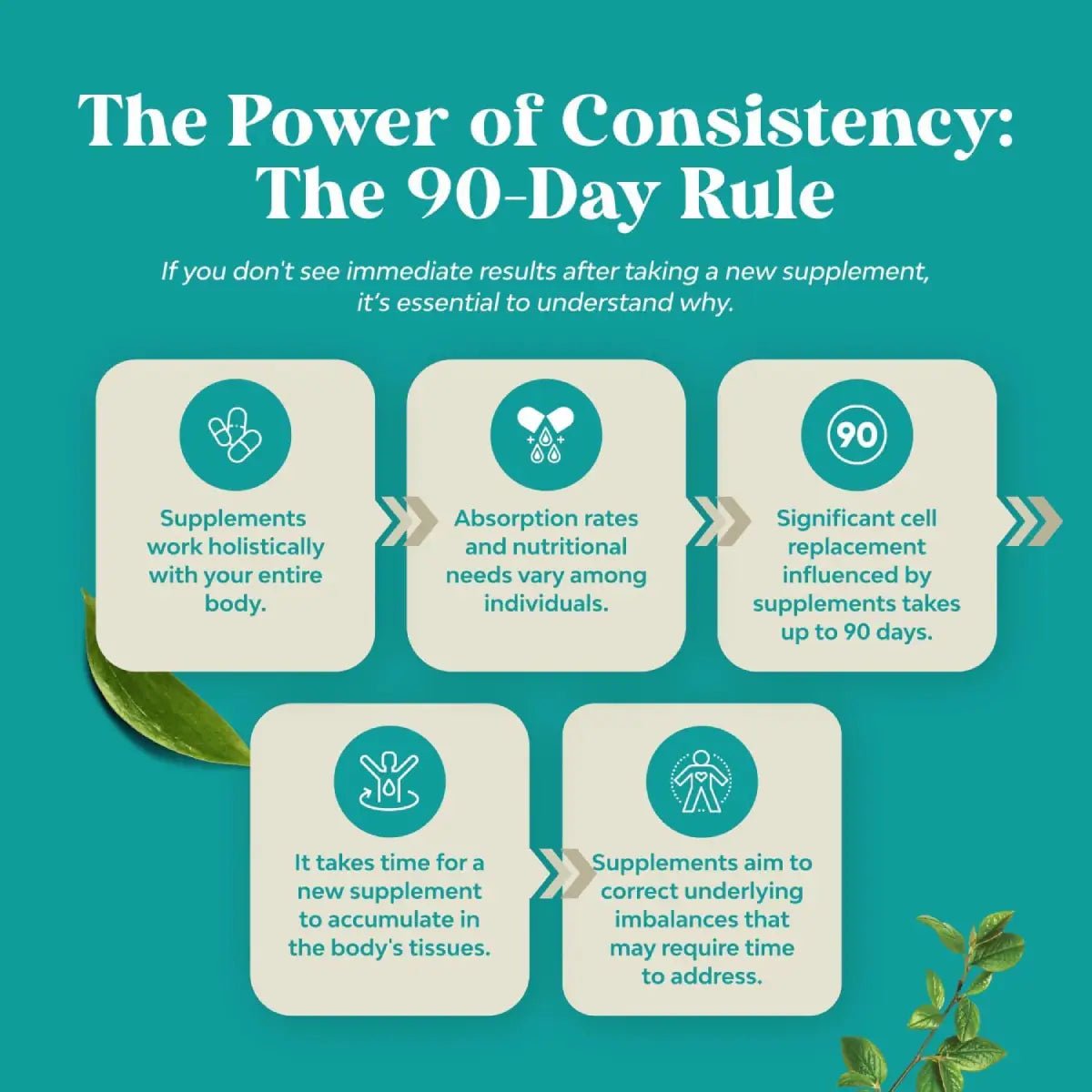 Nature’s Craft Apoyo Hepático con Cardo Mariano 70 Cápsulas - Hi Vitamins