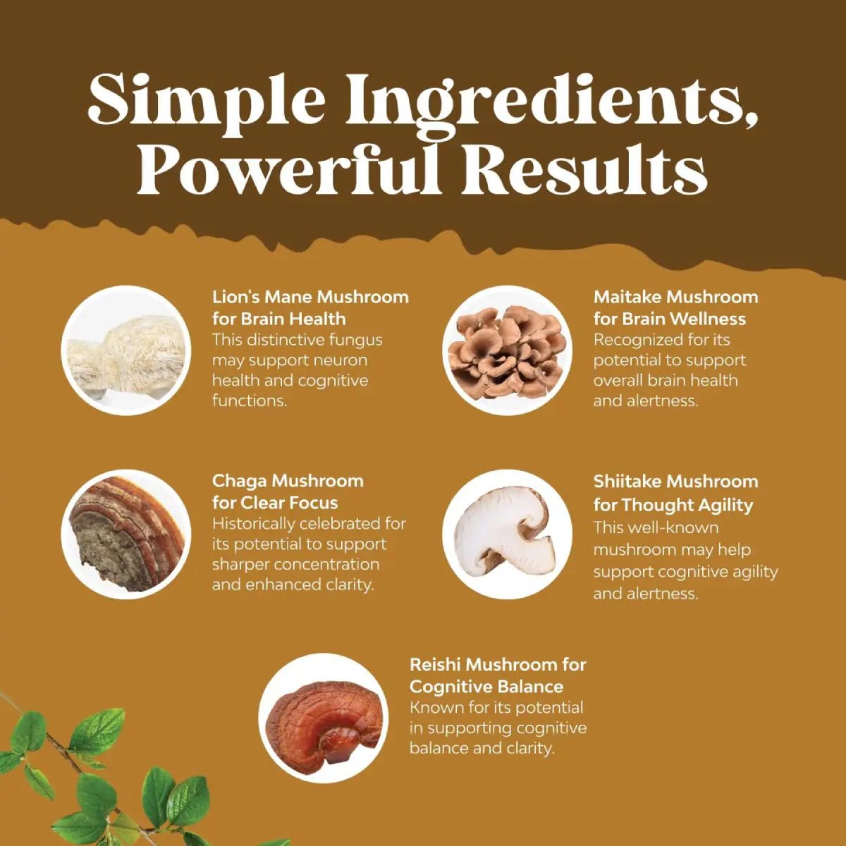 Nature's Craft Melena de León Máxima Fuerza 60 Cápsulas - Hi Vitamins