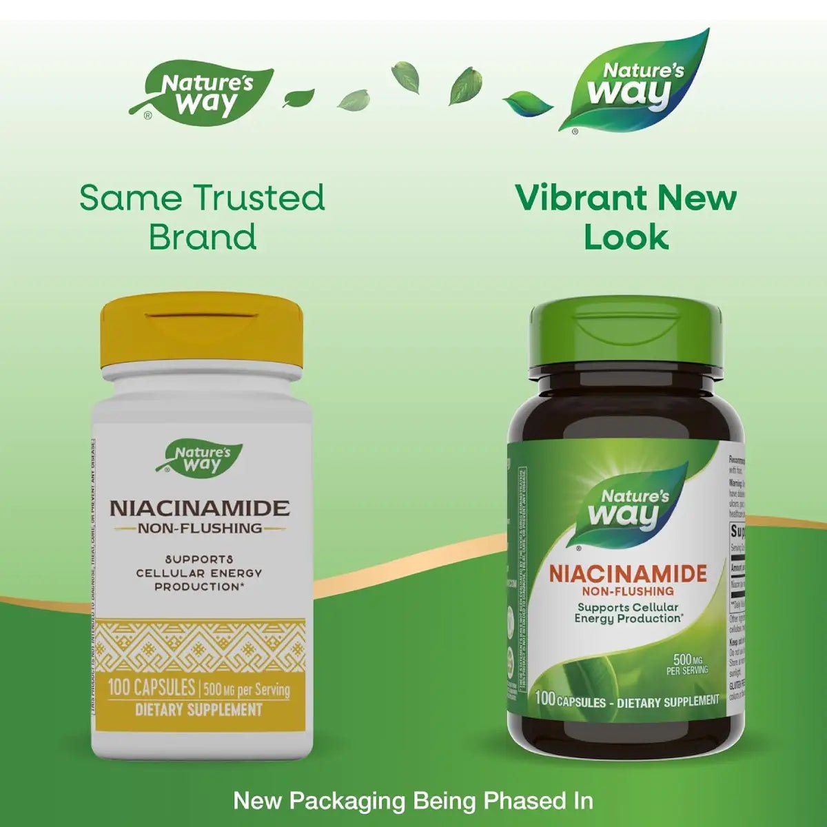 Nature's Way Niacinamida 500 Mg 100 Cápsulas - Hi Vitamins