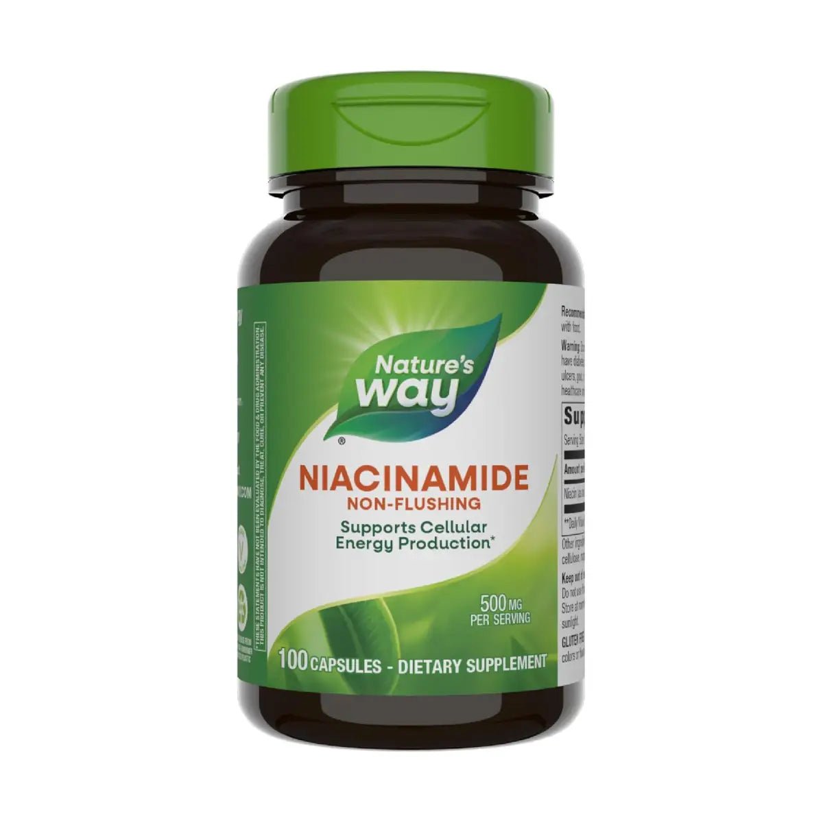 Nature's Way Niacinamida 500 Mg 100 Cápsulas - Hi Vitamins