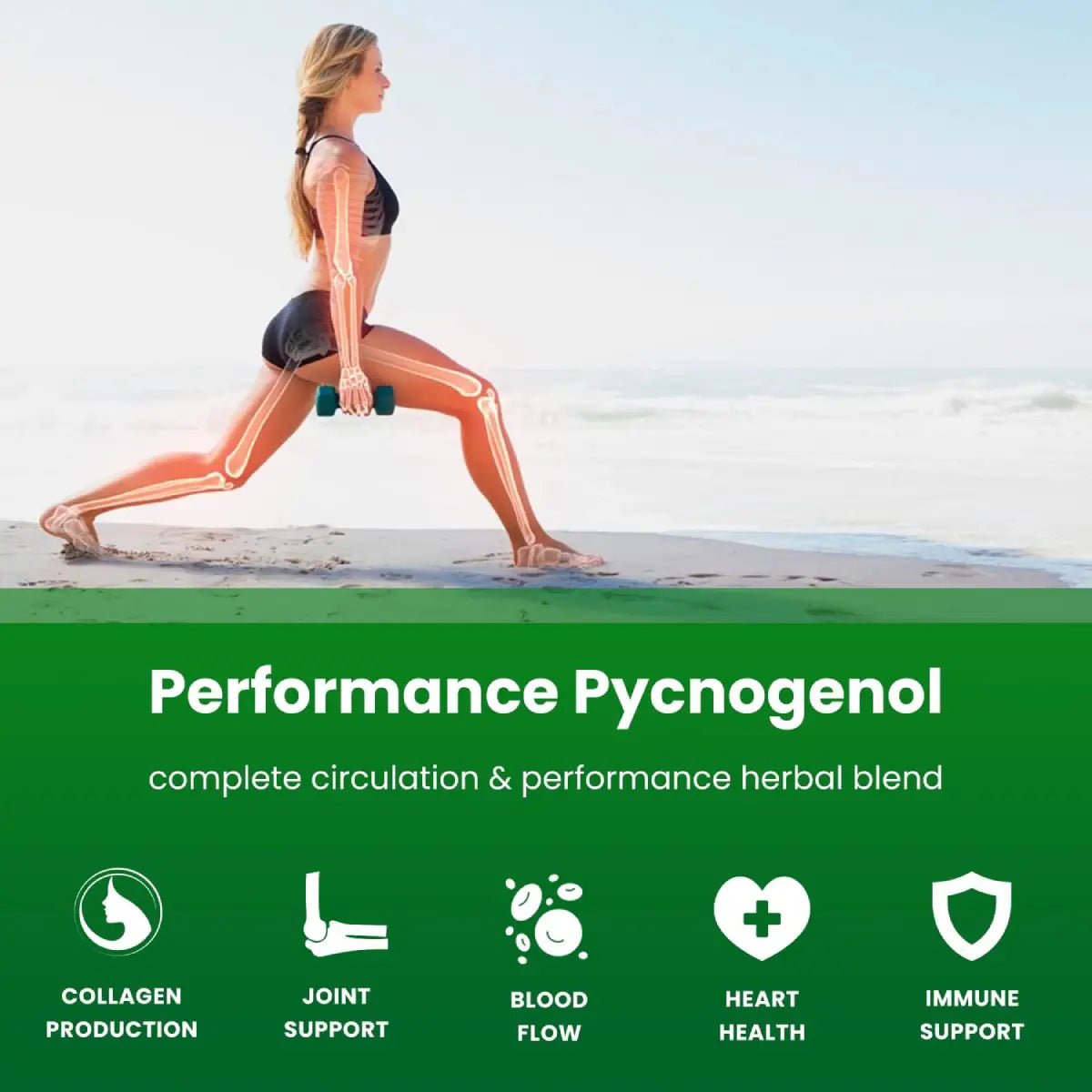 Nutrachamps® Pycnogenol 200mg 60 Cápsulas - Hi Vitamins