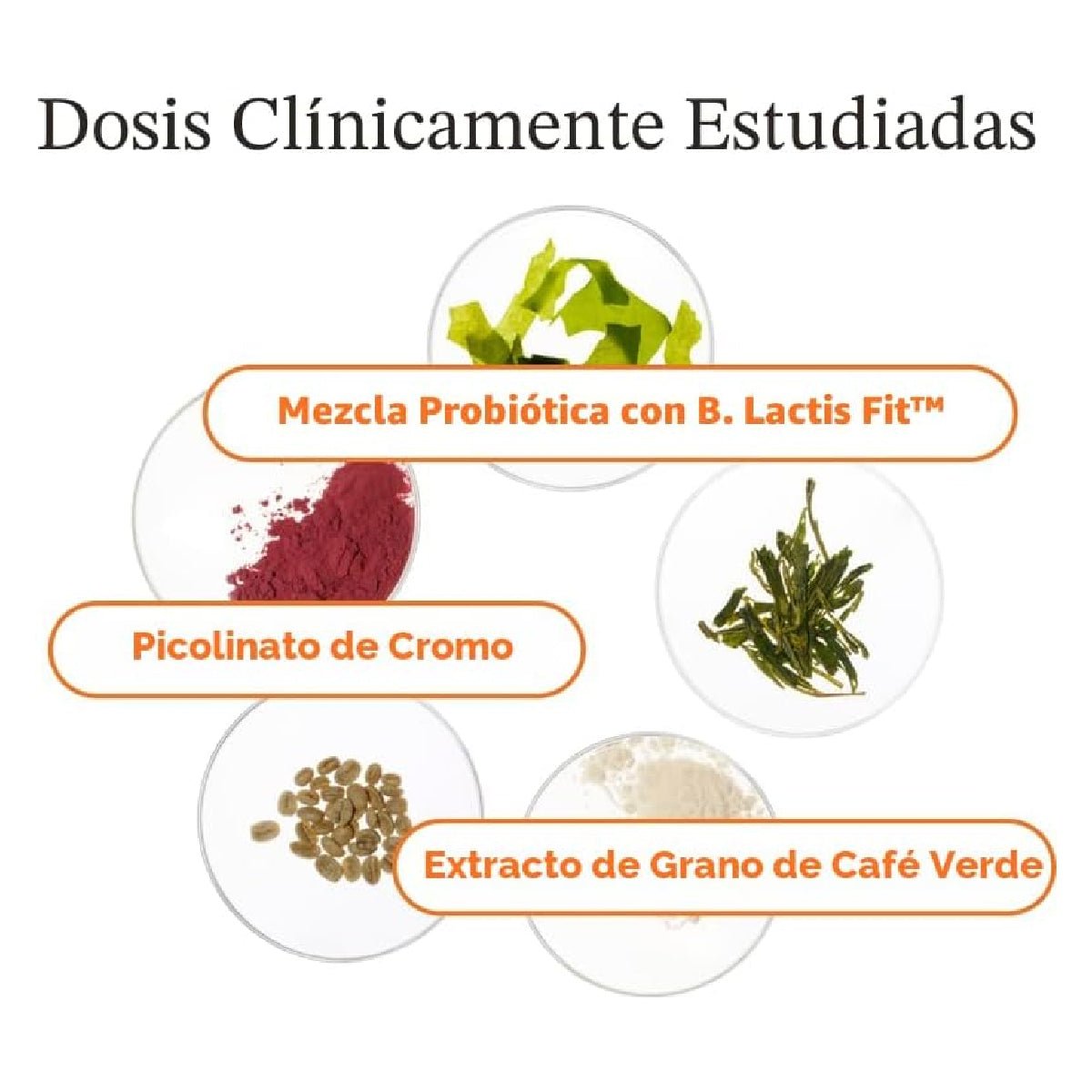O Positive Health URO Metabolism + Probiotic Support 30 Cápsulas Apoyo Metabolismo, Salud Digestiva y Energía - Hi Vitamins