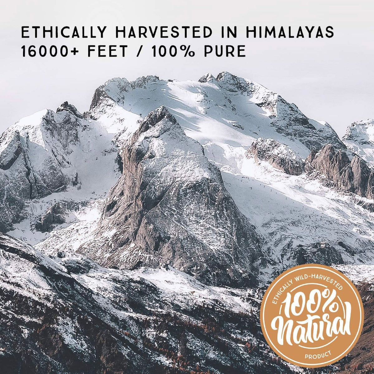 Pure Himalayan Shilajit Resina Sólida Original 8 g Ácido Fúlvico y 85+ Minerales Traza Apoyo Energía y Vitalidad