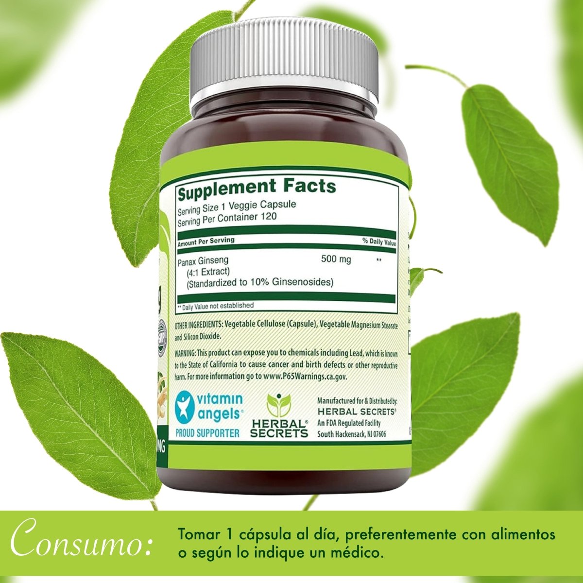 Herbal Secrets® Panax Ginseng 500mg 120 Cápsulas - Hi Vitamins