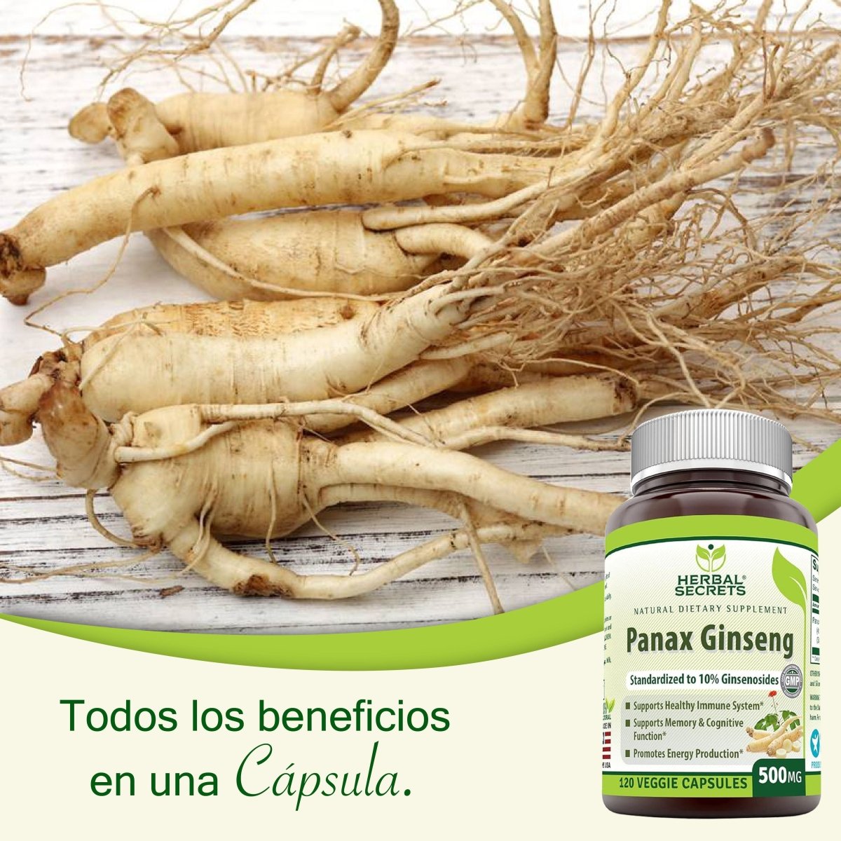 Herbal Secrets® Panax Ginseng 500mg 120 Cápsulas - Hi Vitamins