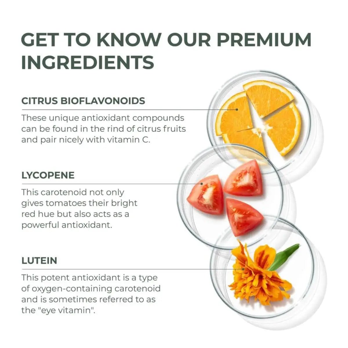 Primal Harvest Primal Multivitamínico 30 Cápsulas - Hi Vitamins