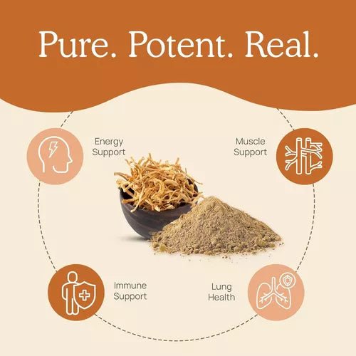 Real Mushrooms™ Cordyceps - M Peak Performance 300 Cápsulas - Hi Vitamins