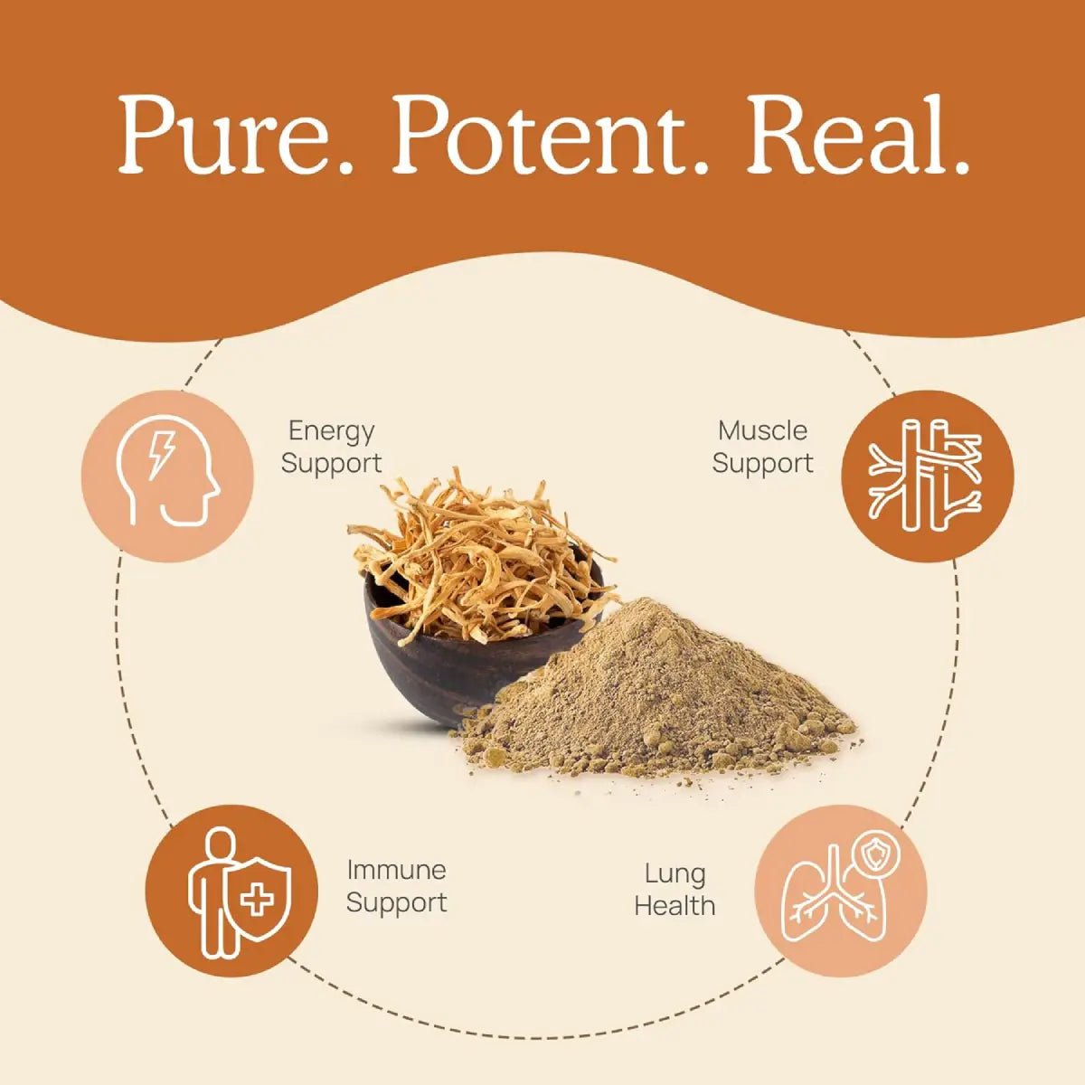 Real Mushrooms Cordyceps - M 500 Mg 120 Cápsulas - Hi Vitamins