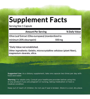 SWANSON OLIVE LEAF EXTRACT 500 MG 120 CAPSULES