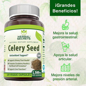 Herbal Secrets ® Celery Seed 1500mg 120 Capsules