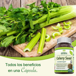 Herbal Secrets ® Celery Seed 1500mg 120 Capsules