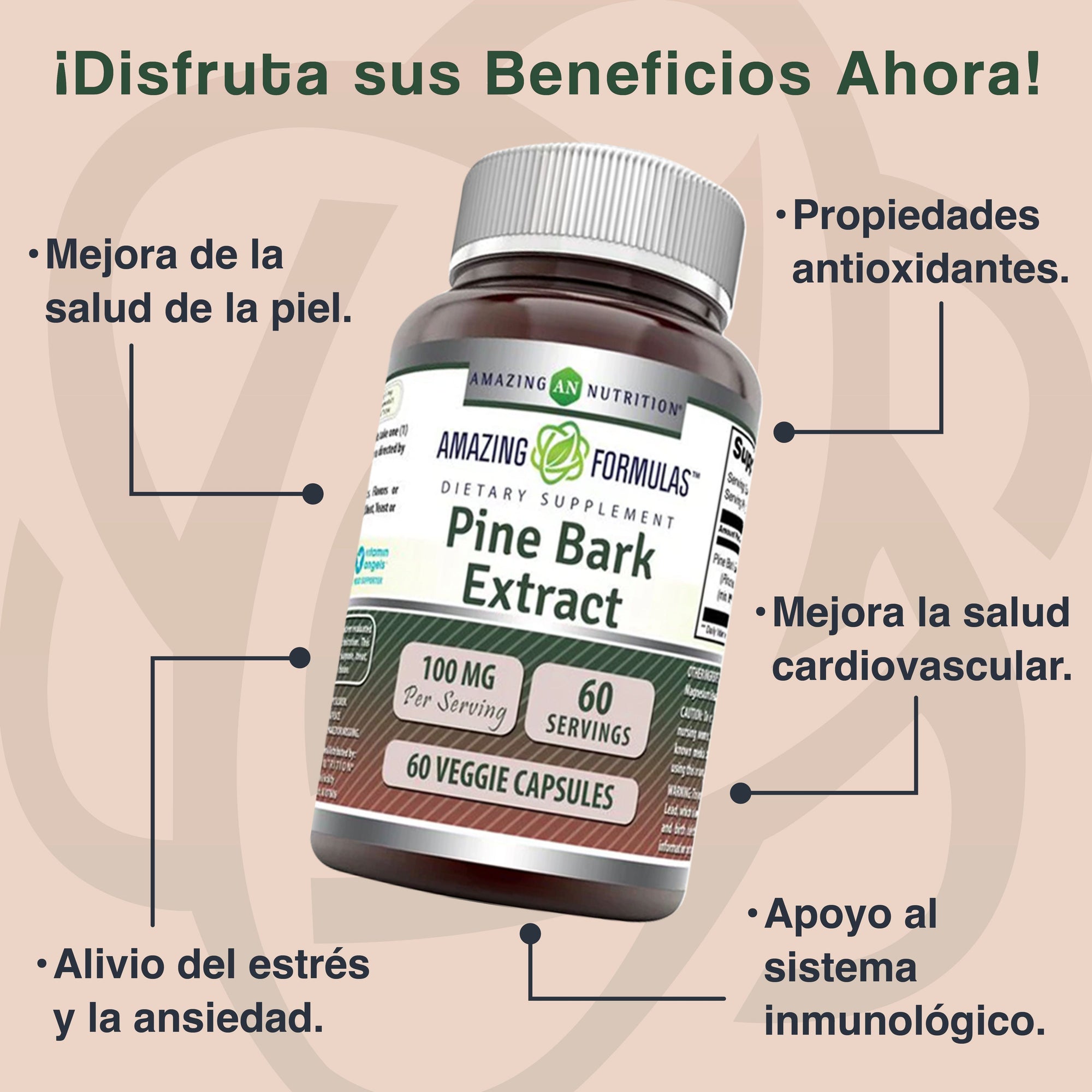 Amazing Nutrition Amazing Formulas Pine Bark Extract 100 Mg 60 Capsules