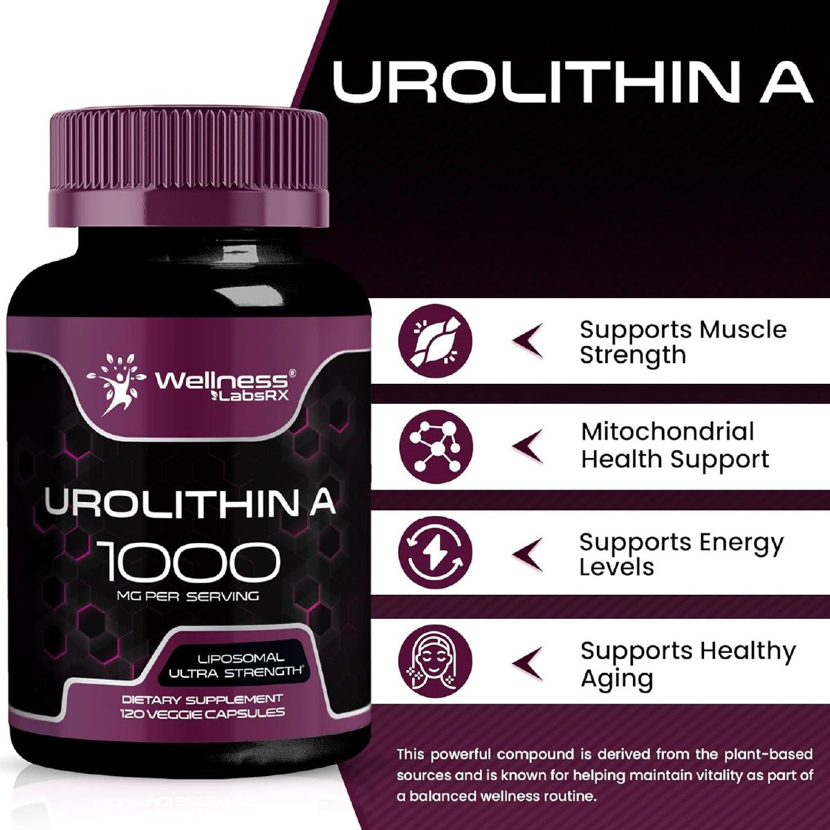 Wellness LabsRx Urolitina A 1000 mg 120 Cápsulas Apoyo Energía Celular Salud Muscular y Función Mitocondrial - Hi Vitamins