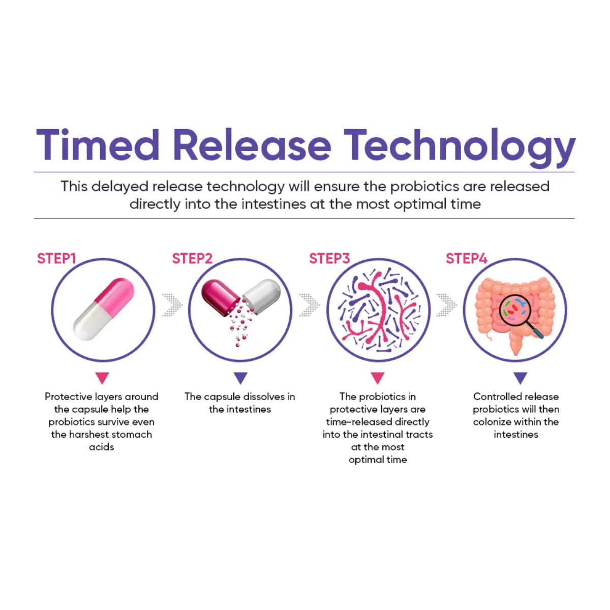 Wholesome Wellness Women's RAW Probiotics 100 Billion CFU 60 Cápsulas - Hi Vitamins