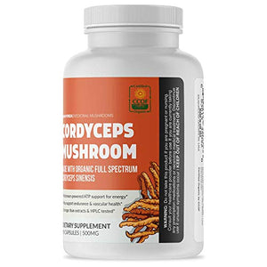 Brain Forza Cordyceps Mushrooms 90 Cápsulas