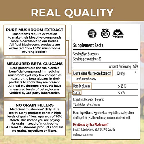 REAL MUSHROOMS™ LION'S MANE COGNITION 500 MG 120 CAPSULES - Hi Vitamins