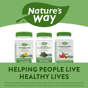 Natures Way, Black Elderberry 575 Mg 100 Cápsulas